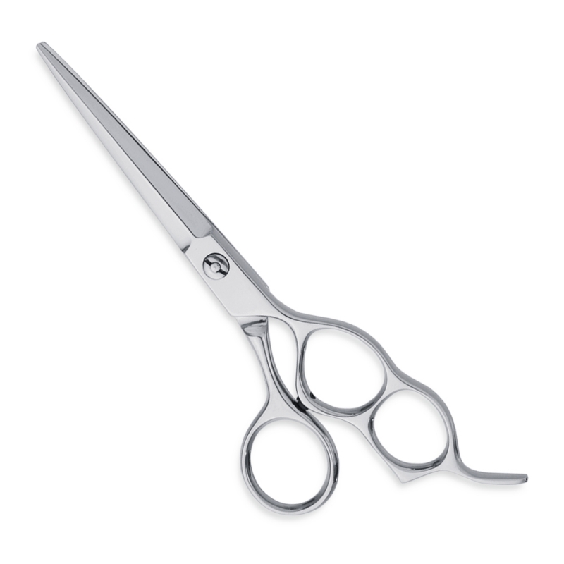 Professional Hair Cutting Scissors